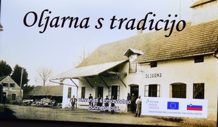 DU Mirna - Martinovanje s slivestrovanjem, foto AJ (15)